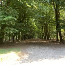 IMG_4055 (1)